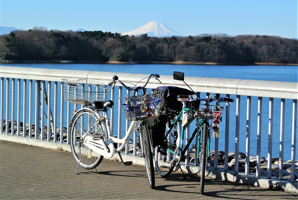 富士山（多摩湖堤防よりの眺望）