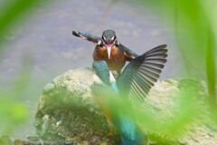 K川・「とりゃ～！！」