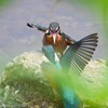 K川・「とりゃ～！！」