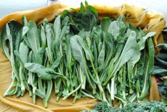 コマツナつぼみ収穫