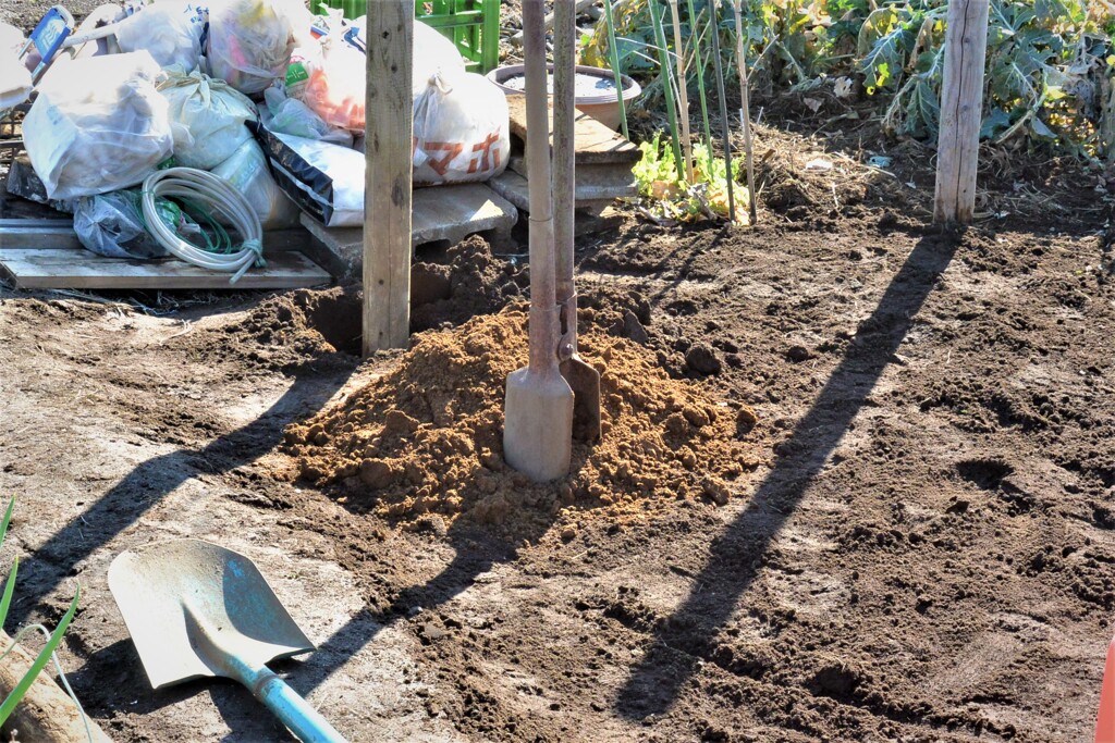 ダブルスコップ(通称ダブスコ)で掘って70cmほど埋め込む