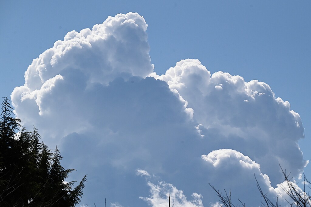 Ｋ川中流域上空・冬の入道雲