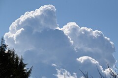 Ｋ川中流域上空・冬の入道雲