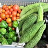 2017年8月27日・菜園収獲..