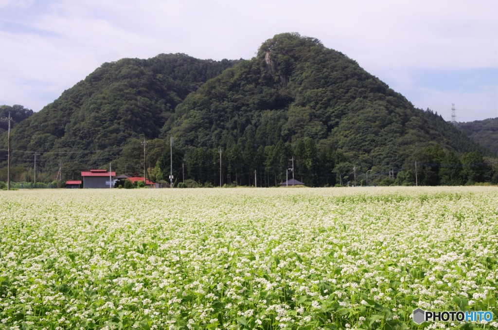 そばの里「牧野」