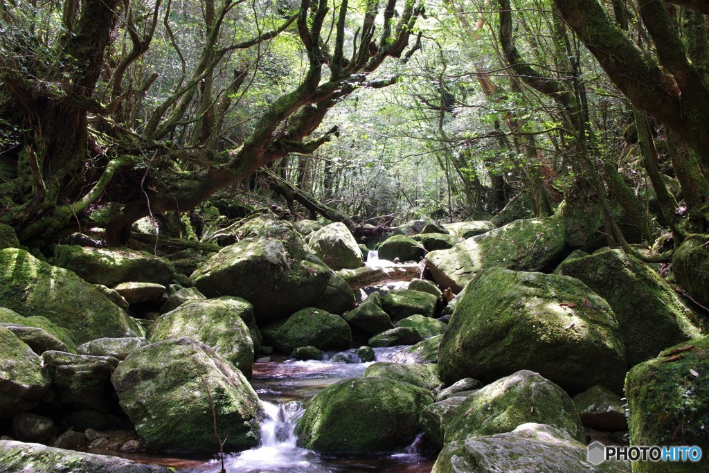 楠川渓谷