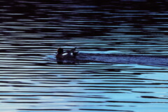 長旅お疲れ様…