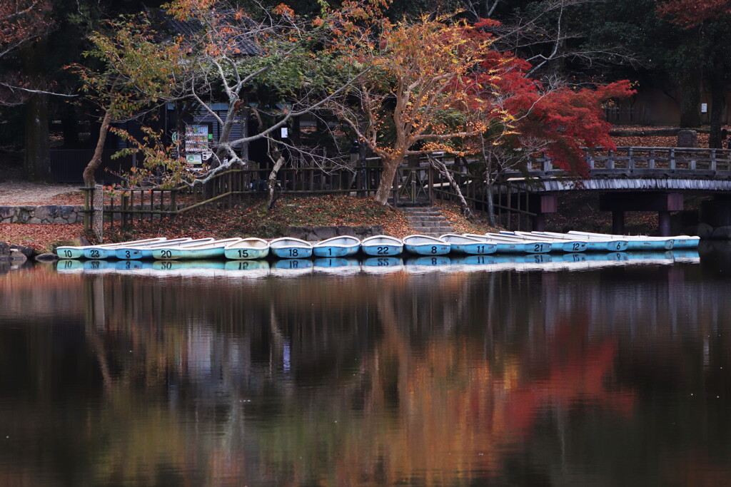 秋の奈良公園鷺池