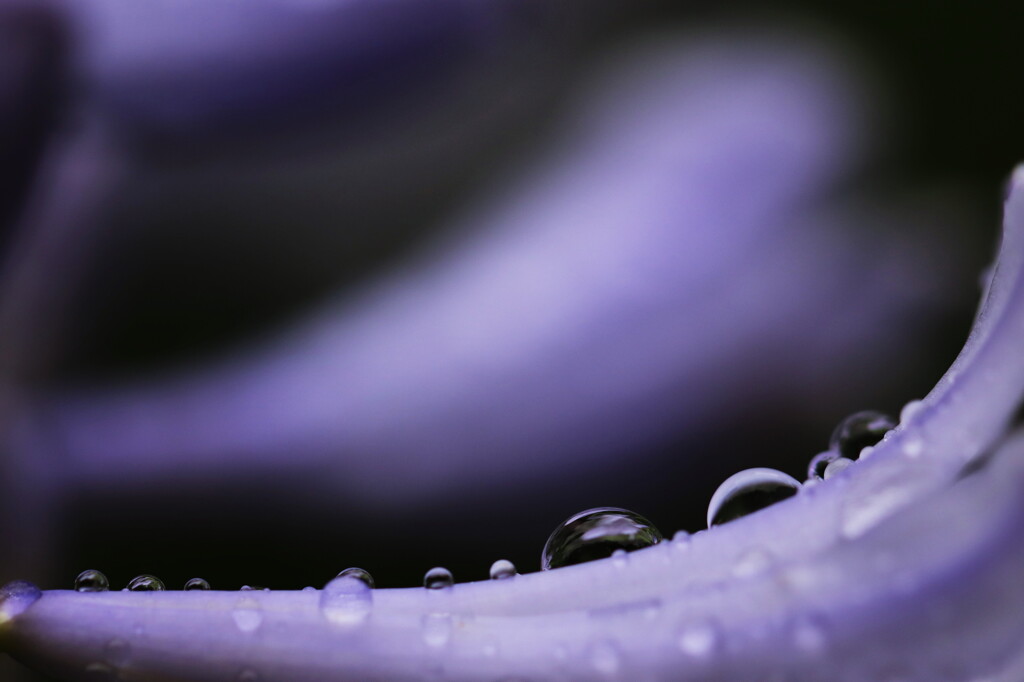 雨上がり