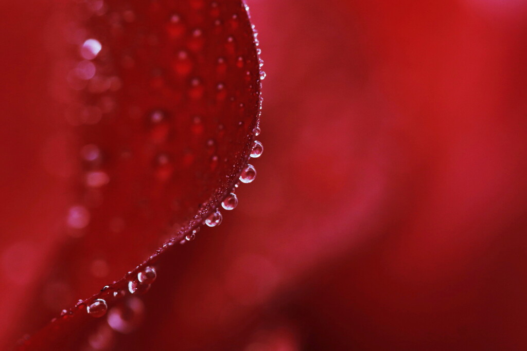 Drops