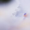 花肌