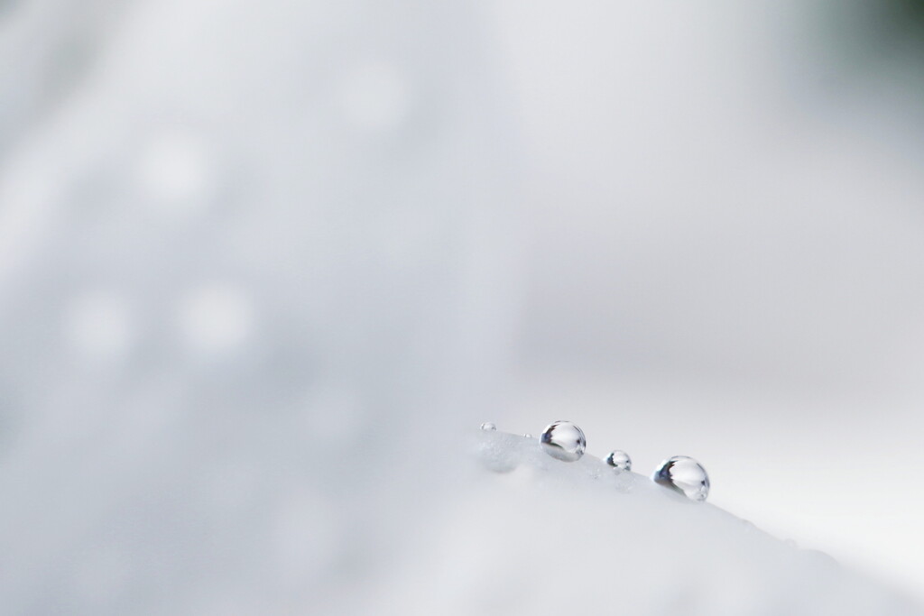 Drops