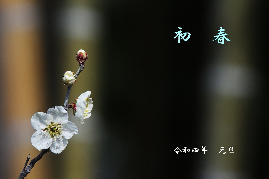 初春