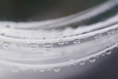 Drops