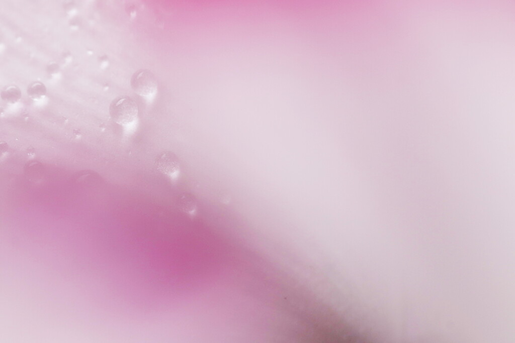 濡れ肌