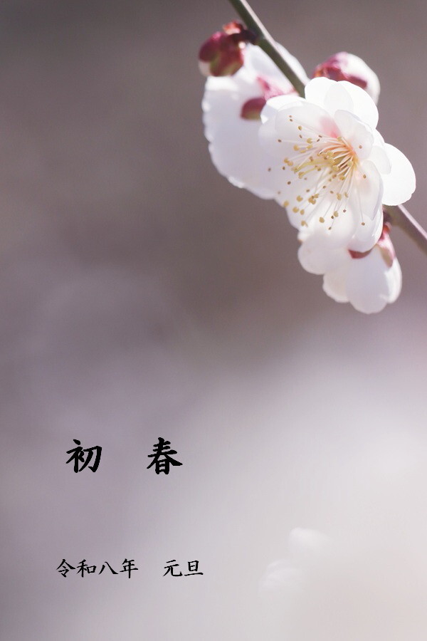 明けましておめでとうございます