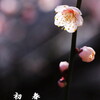 明けましておめでとうございます