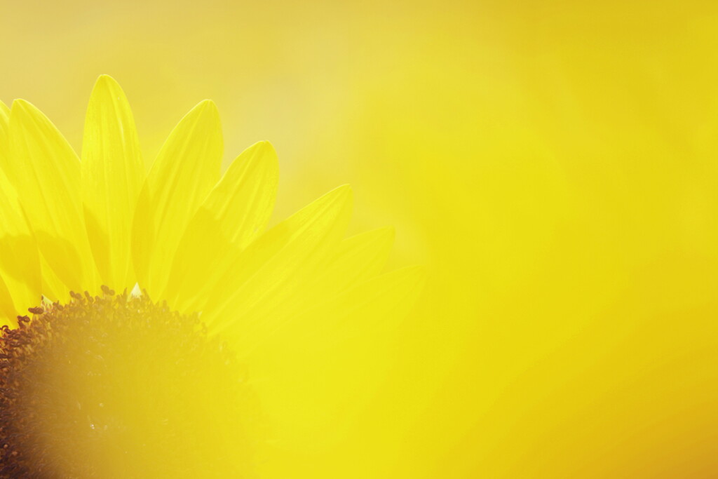 vitamin color
