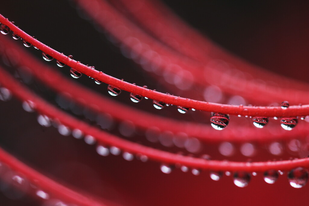 drops
