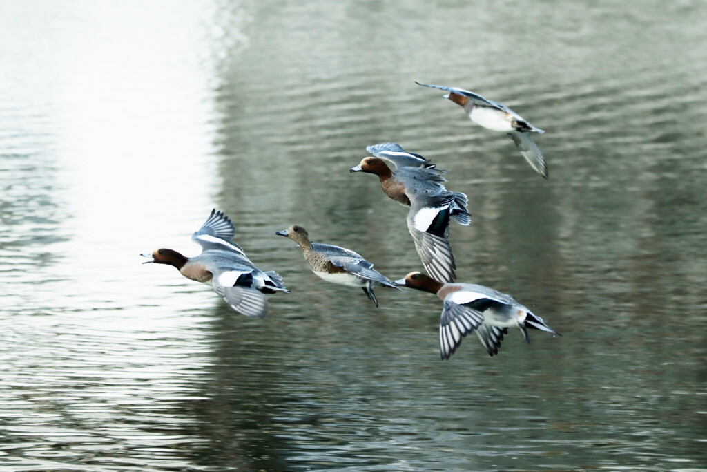 長旅お疲れ様～