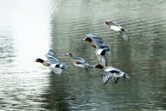 長旅お疲れ様～