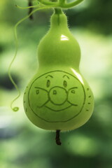 アンパンマン