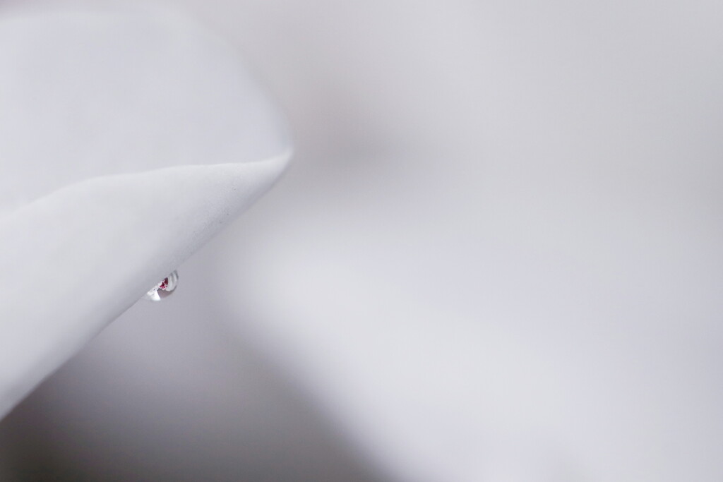 drop