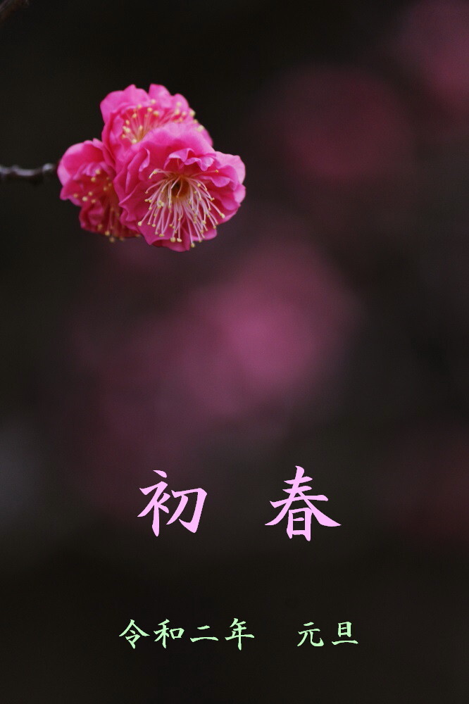 あけましておめでとうございます