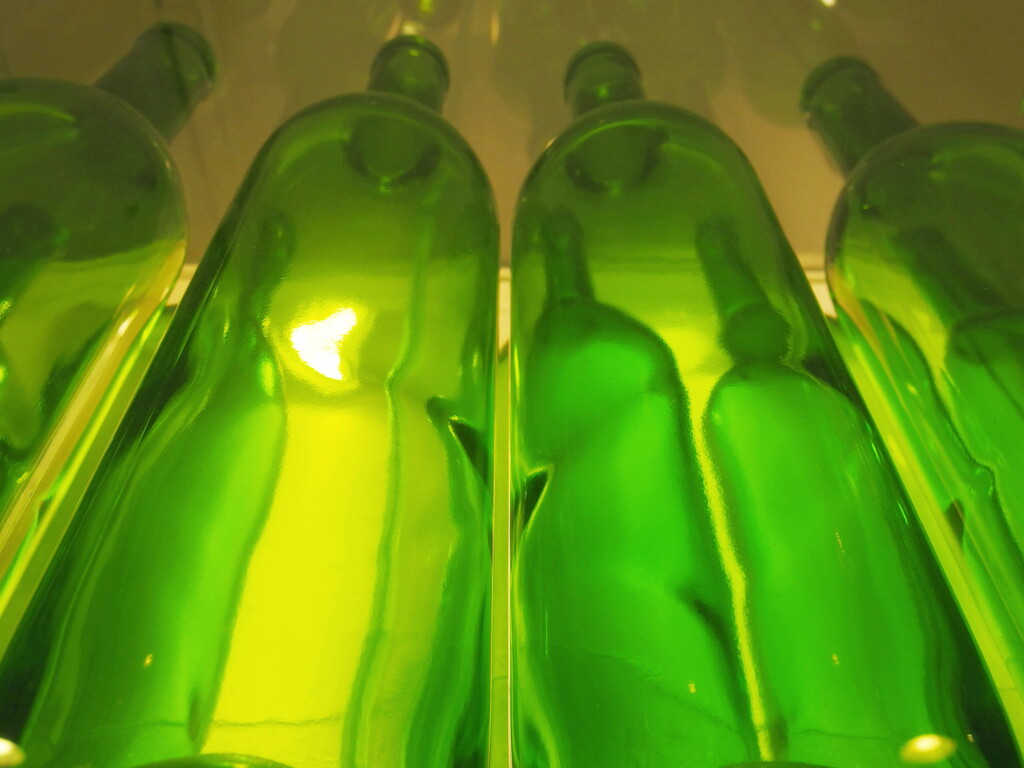 bottle