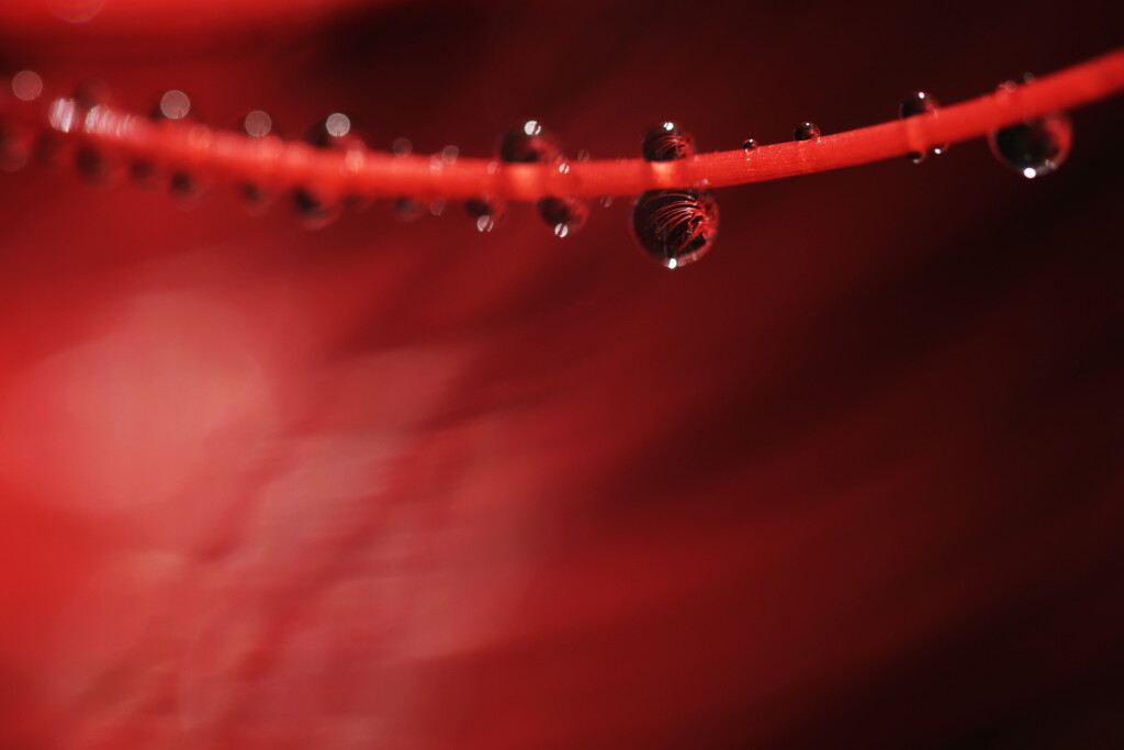 Drops