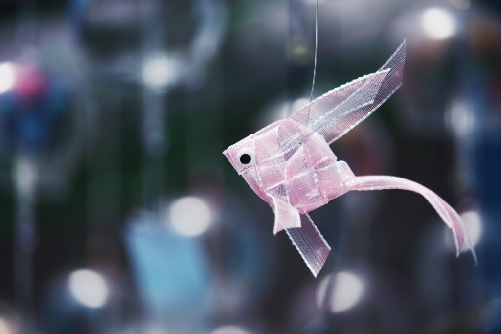 金魚