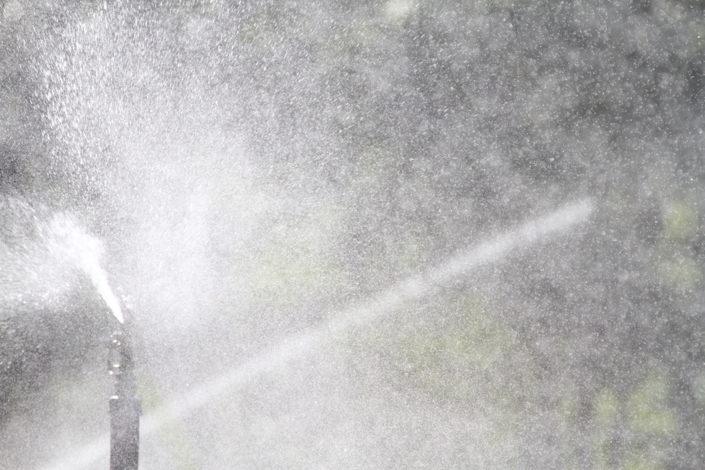 Shower～