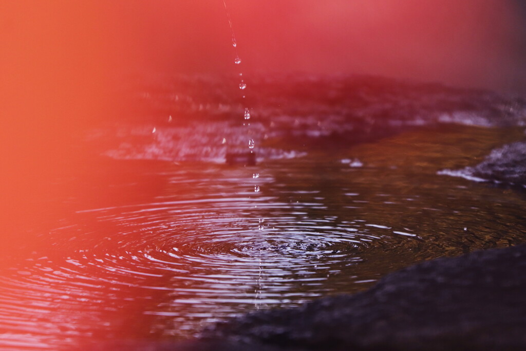 浄