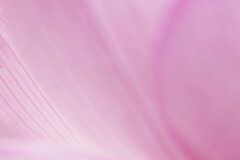 花肌