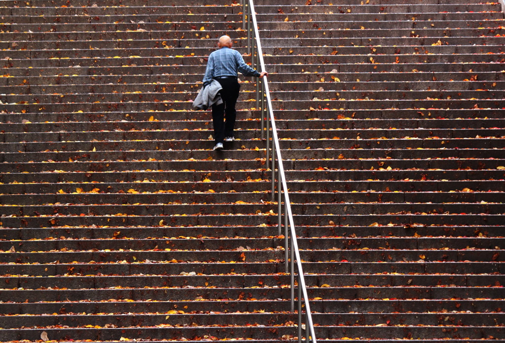 落ち葉の階段