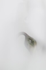 やっとお目覚めですね～