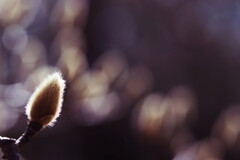 もうすぐお目覚めですね～