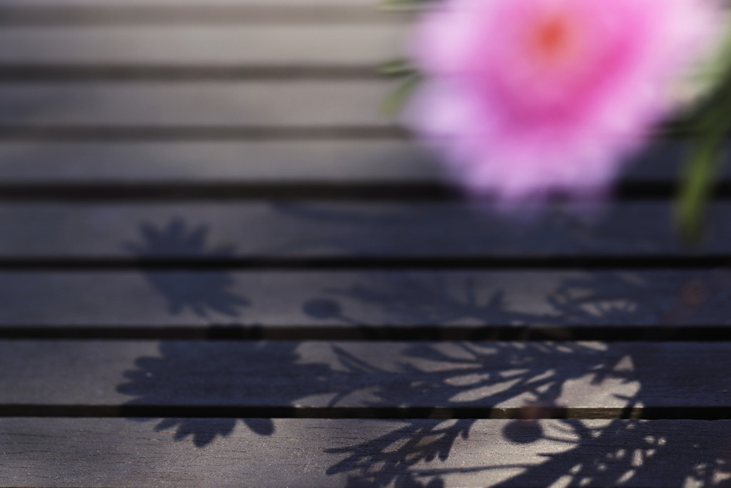 tableflower