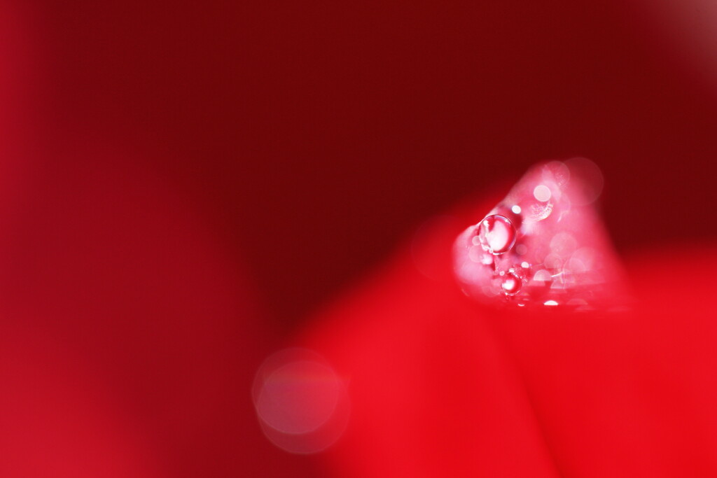 drops