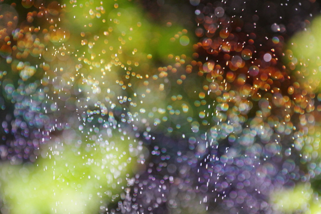 虹色Shower～