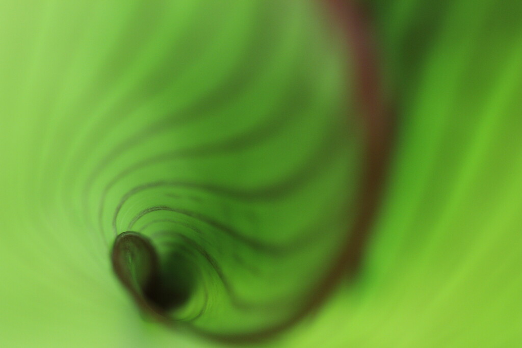 spiral