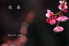 明けましておめでとうございます