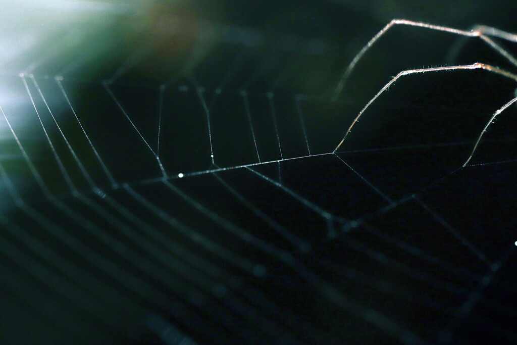 罠