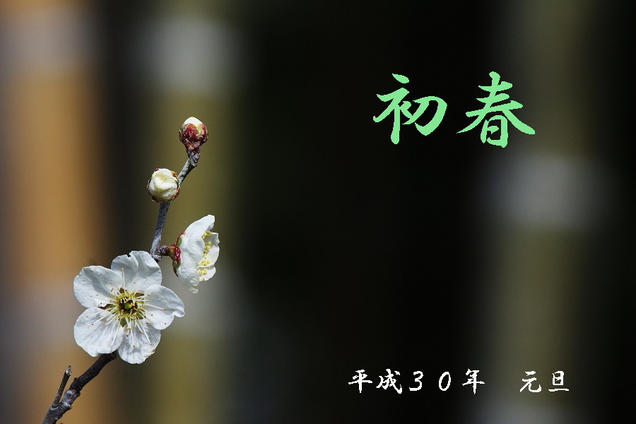 明けましおめでとうございます