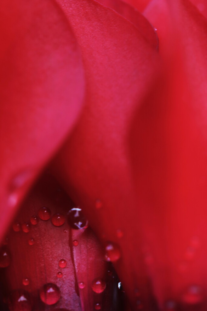 Drops