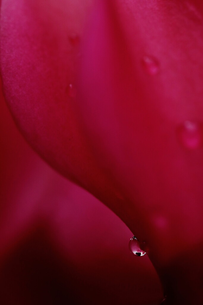 drop