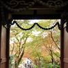 心色づく空間へのいざない