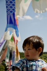 大空を泳ぐ鯉のぼりのように