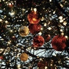end of this year's Christmas