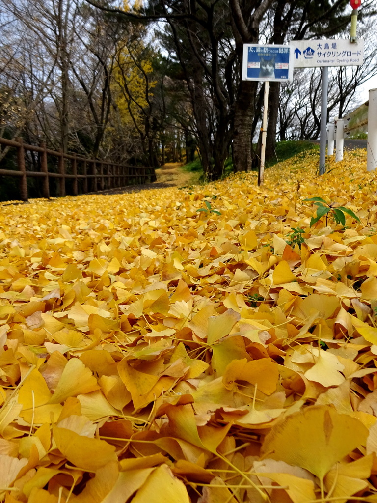 最後の輝き